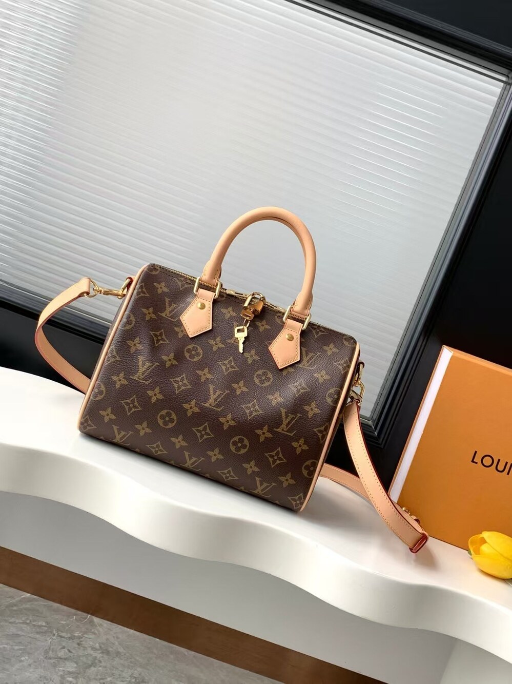 Louis Vuitton Speedy Bandoulière 25